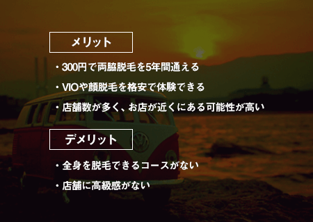 メリット：格安で多くの部位をお試し脱毛でき、店舗が多く通いやすい。デメリット：全身脱毛できるコースが無い。